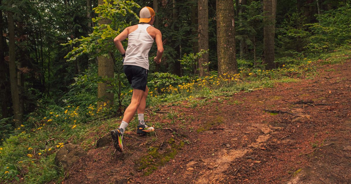 Chaussures de trail Salomon sur sentier forestier