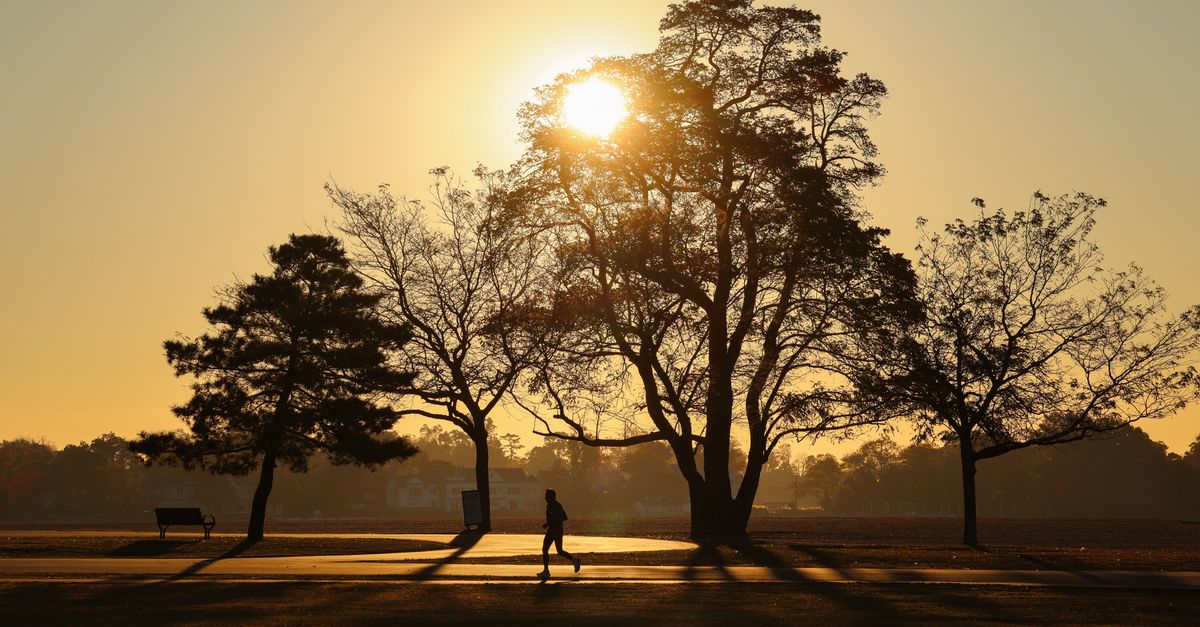 Coureur en silhouette dans un parc au lever du soleil, vue en plan large